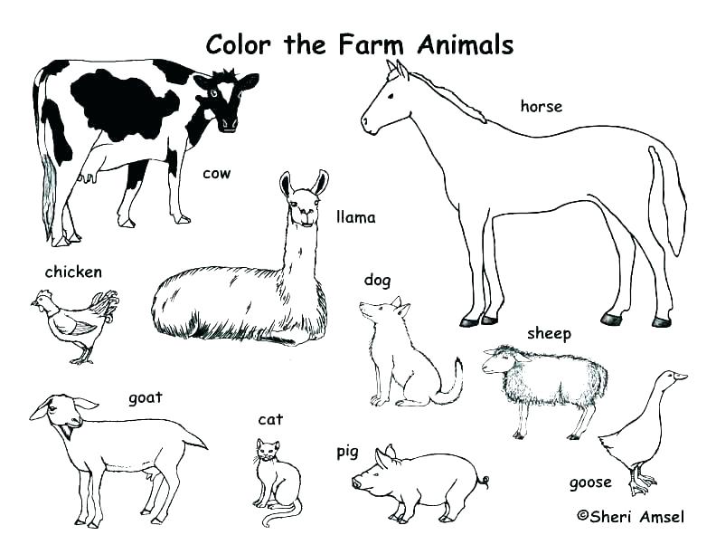792x612 Farm House Coloring Pages Good Barn Coloring Pages To Print