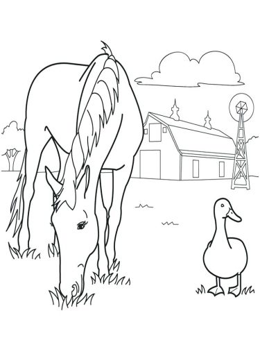 375x500 Coloring Pages Farm Coloring Pages Ant Farm Printable Coloring