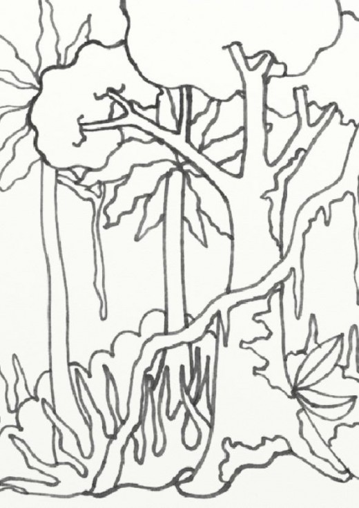 520x735 Wild Treasures Amazon Coloring Pages