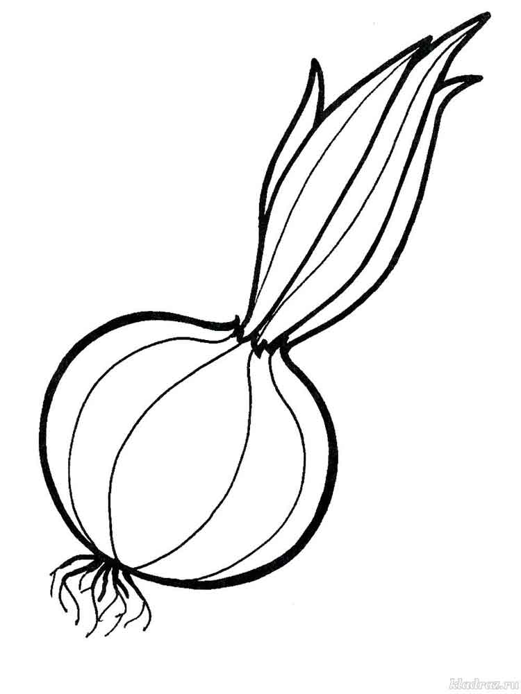 750x1000 Vegetables Onion Coloring Page