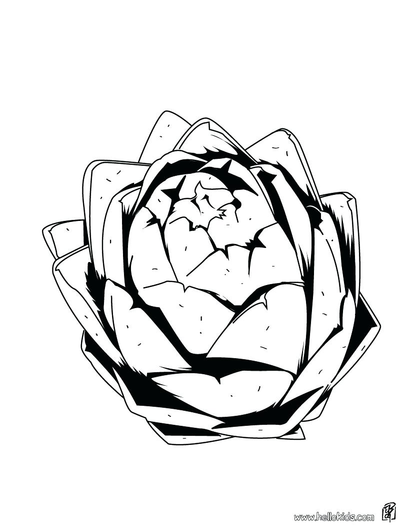 820x1060 Coloring Pages Vegetable Coloring Pages Onion Page Printable