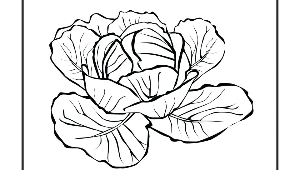 960x544 Fruits And Vegetables Coloring Pages Crafts And Worksheets
