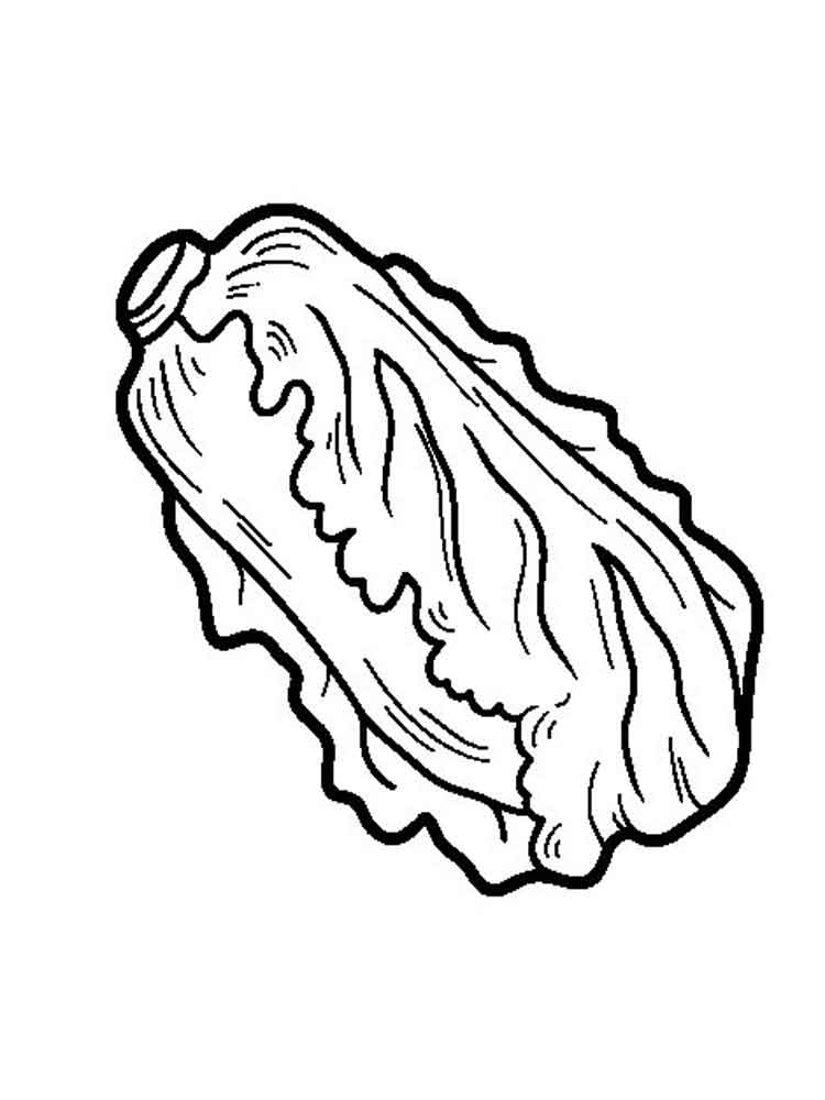 750x1000 Lettuce Coloring Pages Download And Print Lettuce Coloring Pages