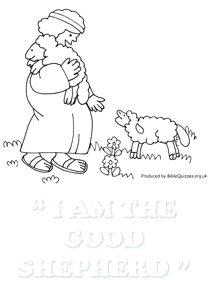736x1000 Children Bible Coloring Pages