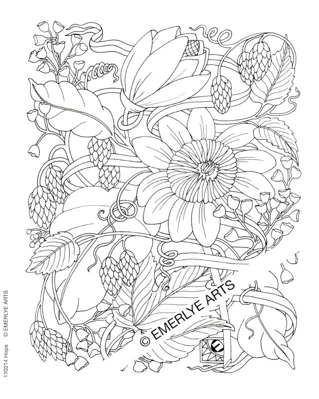 640x800 Coloring Pages Adults Free Usedauto Club