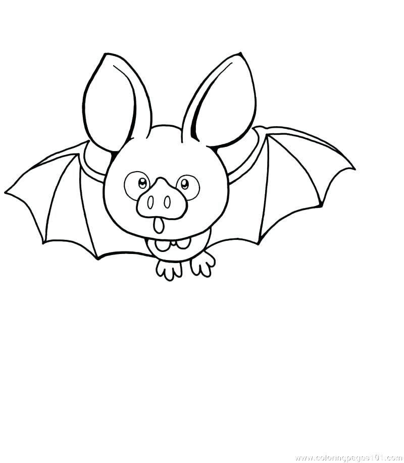 800x917 Open Book Coloring Page Library Education Books Free Printable