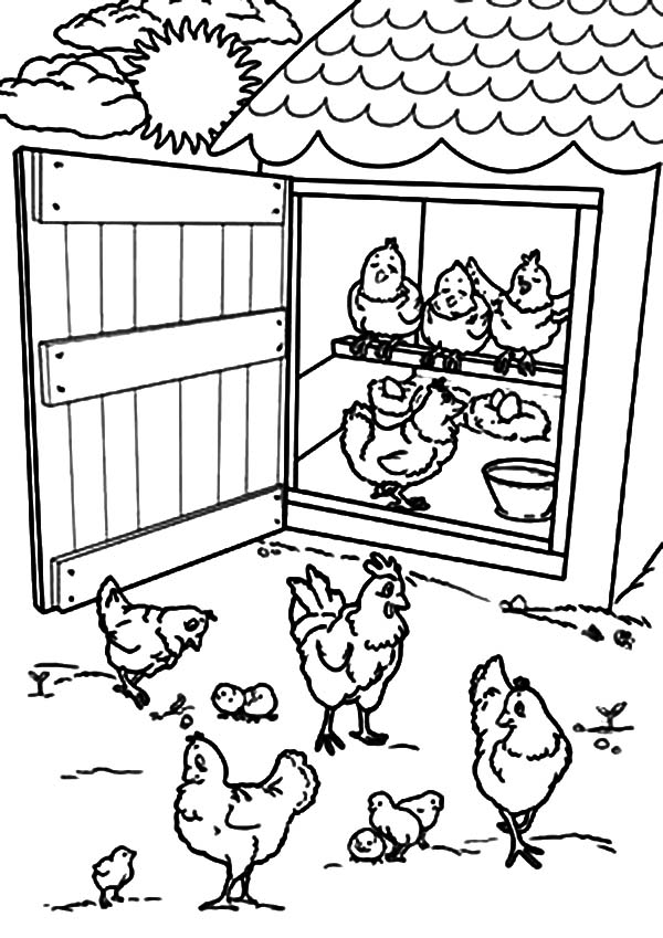 600x849 Open Chicken Coop Door Coloring Pages