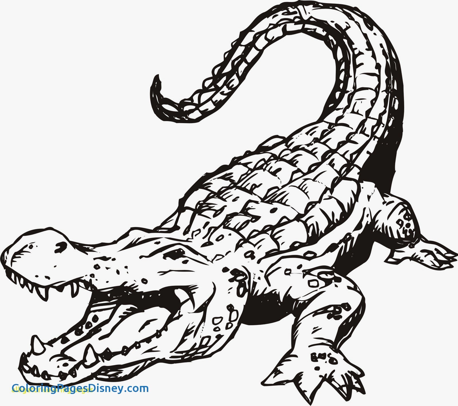 1600x1418 Alligators Coloring Pages Luxury Of Human Mouth Open Coloring