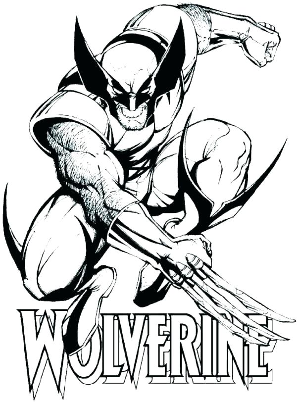 600x812 Opossum Coloring Pages Opossum Coloring Page S S Possum Colouring