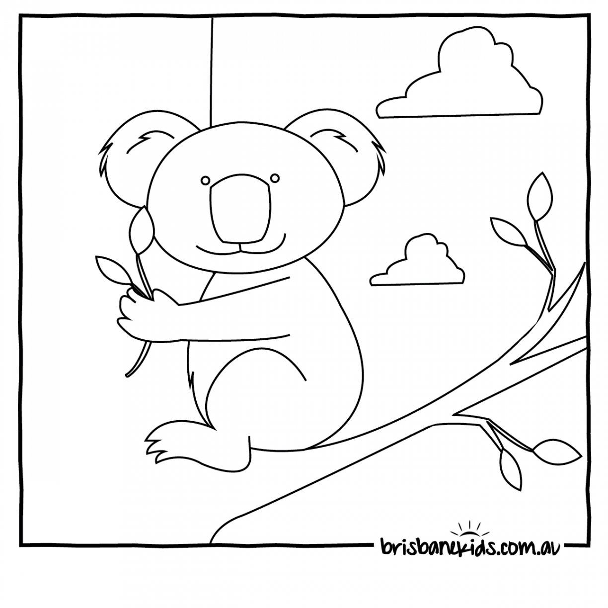 1224x1224 Australian Damselfly Coloring Pages Ringtail Possum Magic