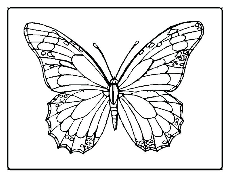 800x618 Cool Optical Illusion Coloring Pages Illusions Shared