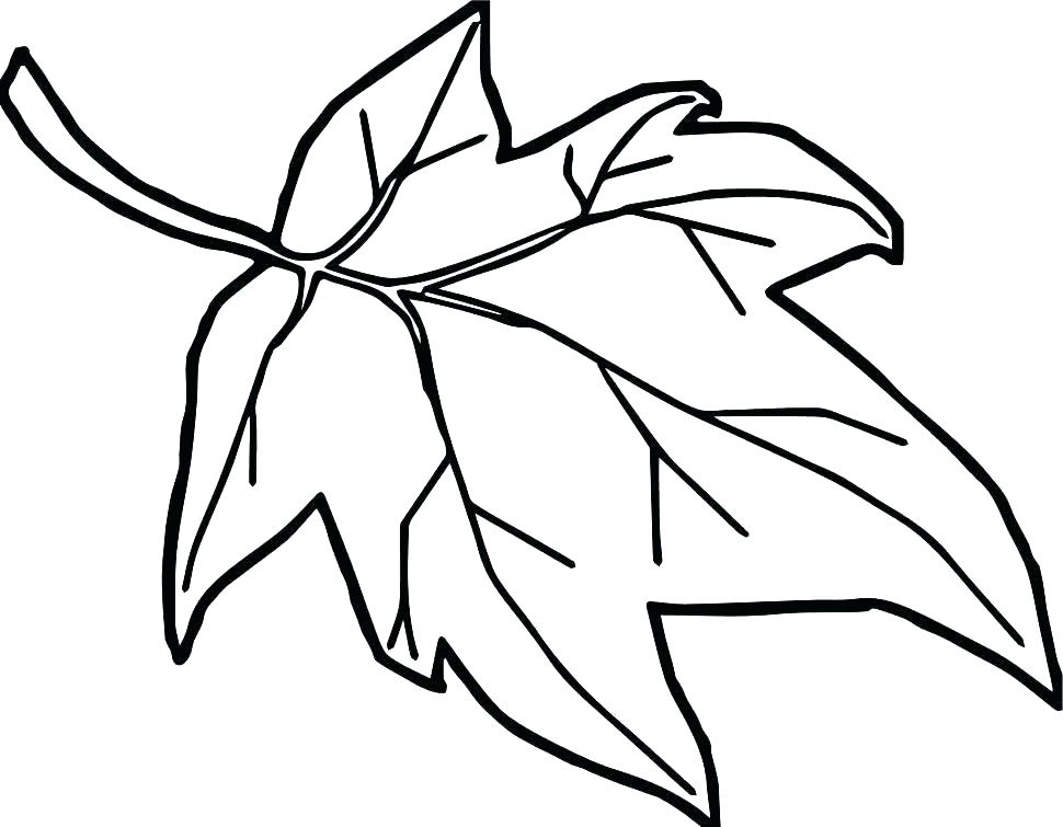 970x755 Coloring Pages Of Orange Orange Coloring Page Orange Coloring