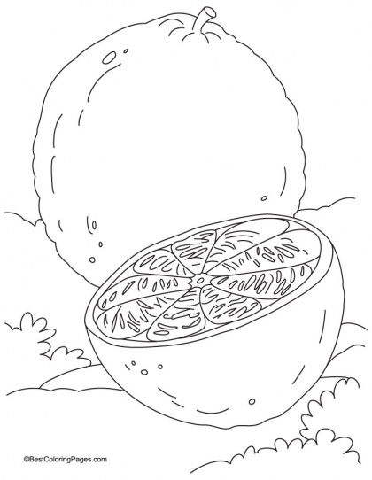 420x542 Mejores De Orange Coloring Pages En