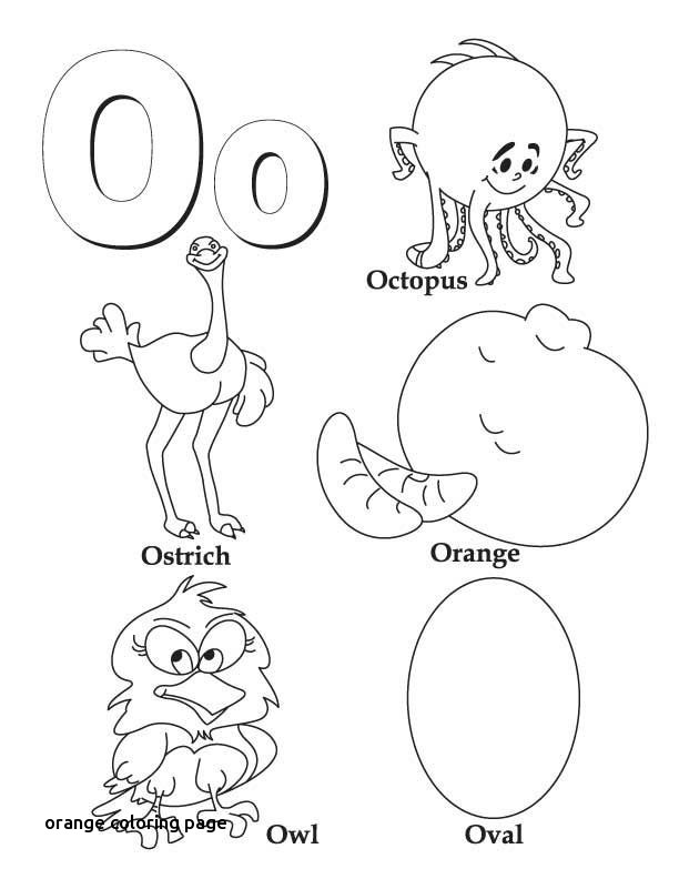 Orange Coloring Page at GetDrawings | Free download