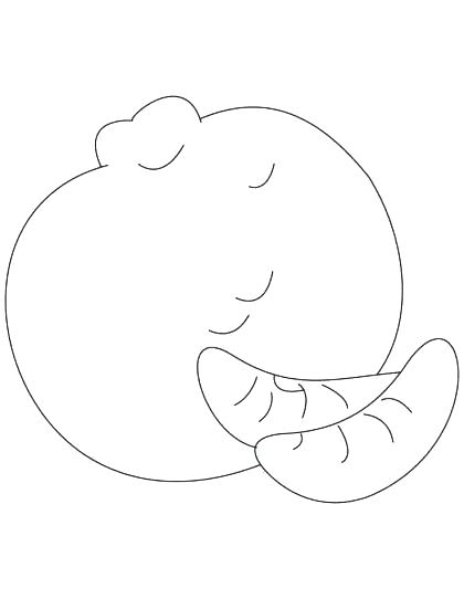 420x542 Annoying Orange Coloring Pages Orange Coloring Pages Oranges