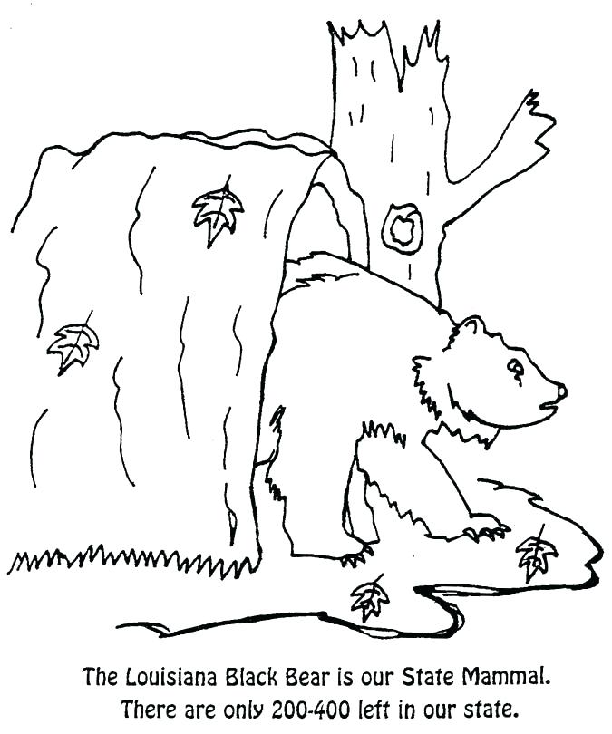 675x810 Orange Coloring Page Letter O Is For Orange Coloring Page Orange