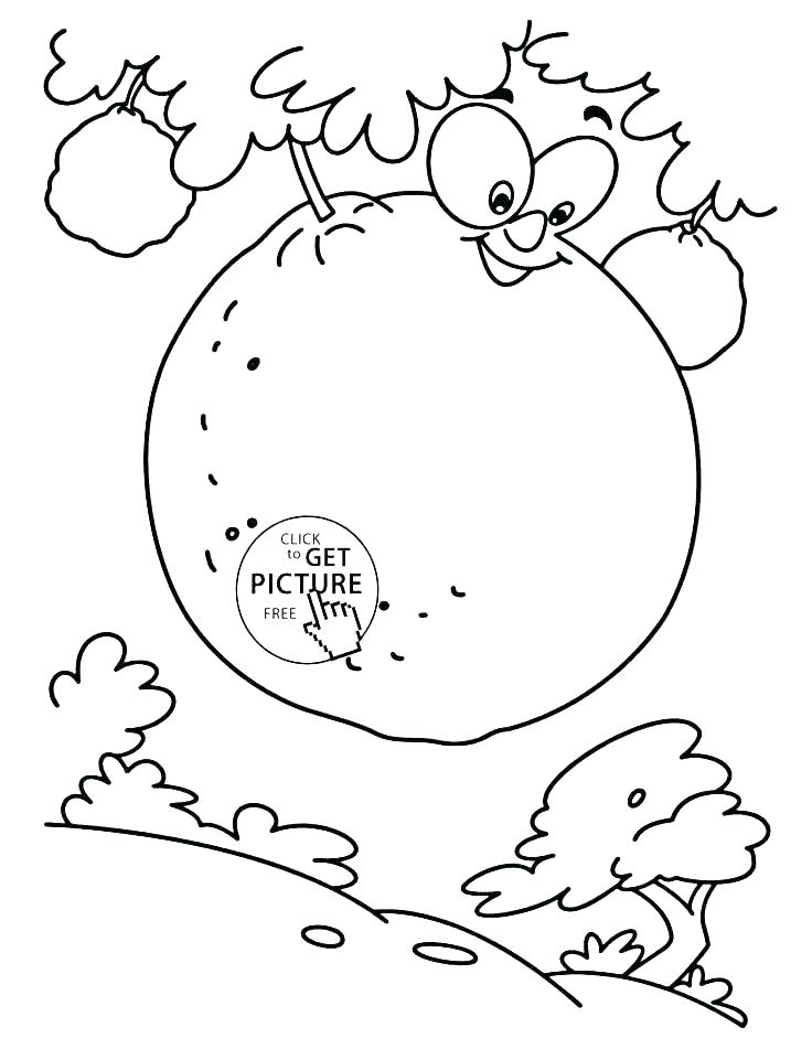 736x951 Orange Coloring Page Orange Coloring Pages Watermelon Colouring