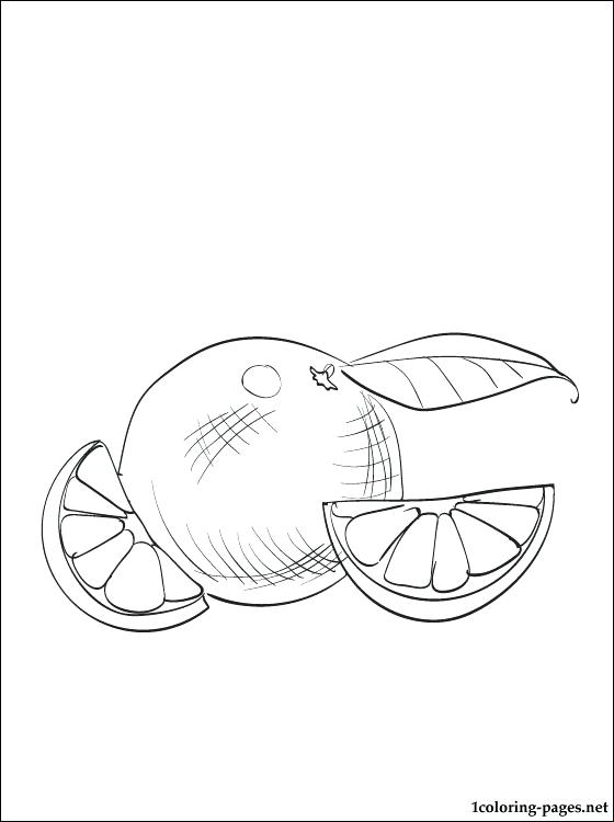 560x750 Orange Coloring Pages Orange Coloring Page For Free Orange Juice