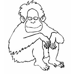 300x300 Orangutan Coloring Page