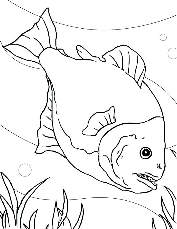 600x776 Orangutan Coloring Pages Special Fish Tank For Piranha Coloring
