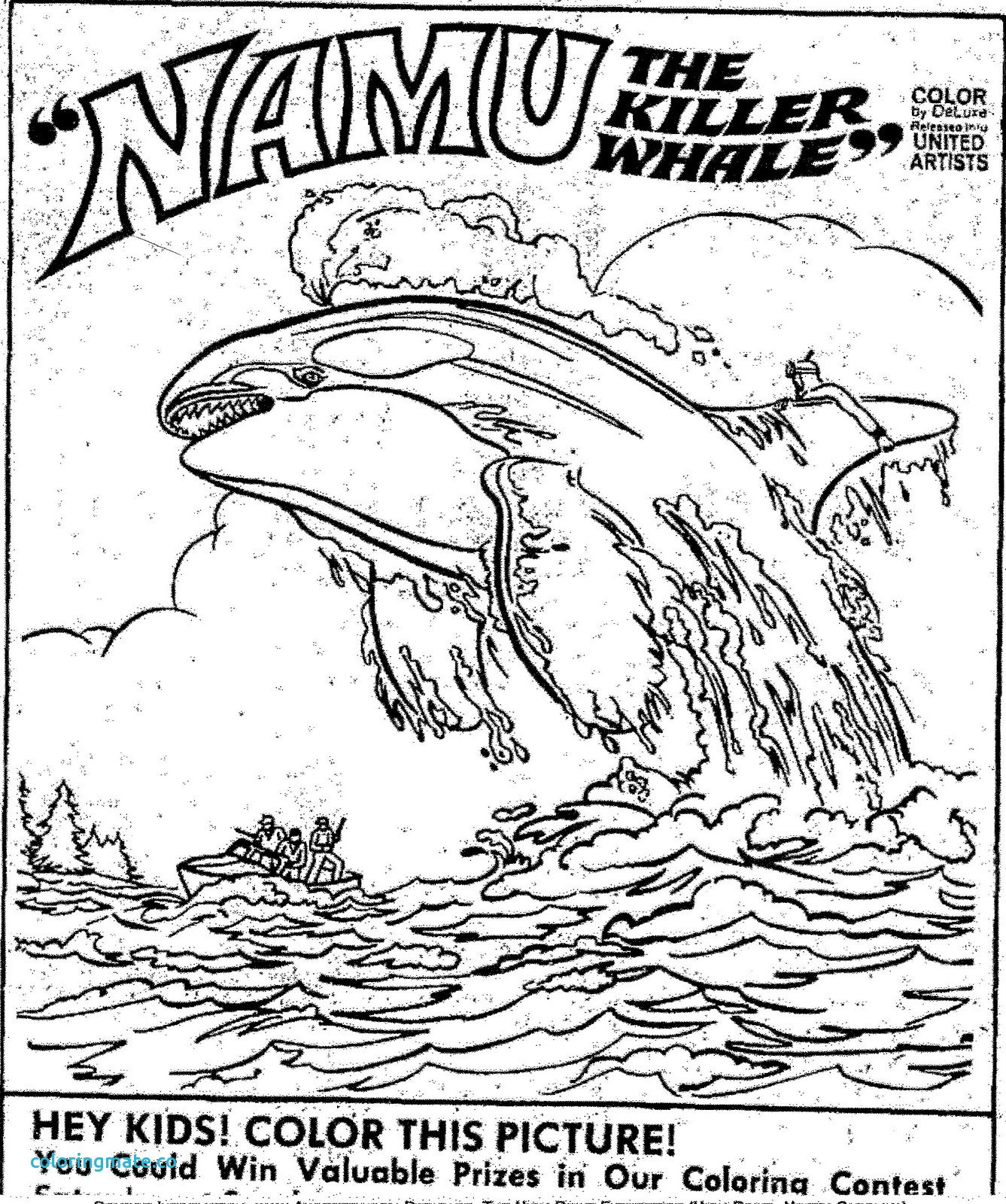 1337x1600 Killer Whale Coloring Pages With Orca Page Many Arresting