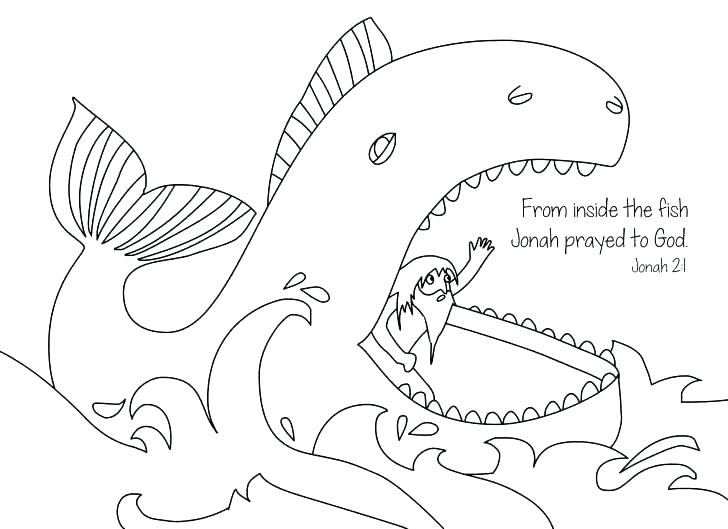 728x529 Killer Whale With High Details Adult Coloring Page Free Coloring