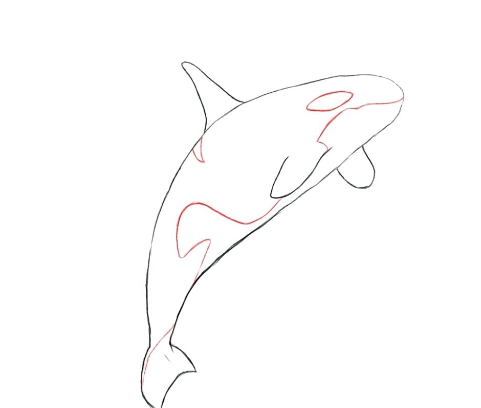 940x796 Whale Coloring Pages N Whale Coloring Pages Med Coloring Page Orca
