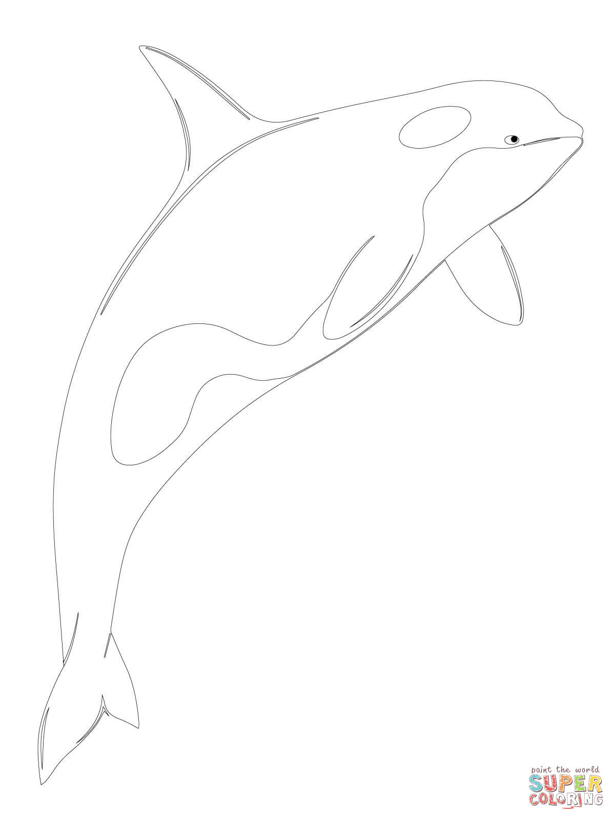 1200x1600 Improved Coloring Pages Of Shamu Strange Killer Whale Orca Page