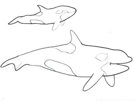 440x330 Killer Whale Coloring Pages Whale Coloring Pages Killer Page S