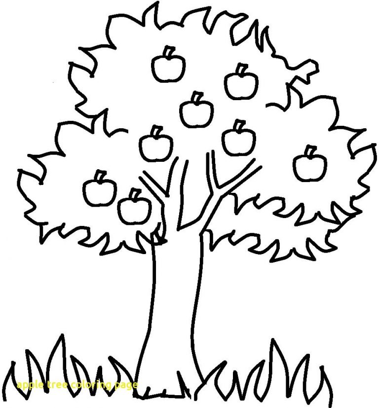 768x827 Coloring Pages Of Different Trees Fresh Helpful Apple Tree Page