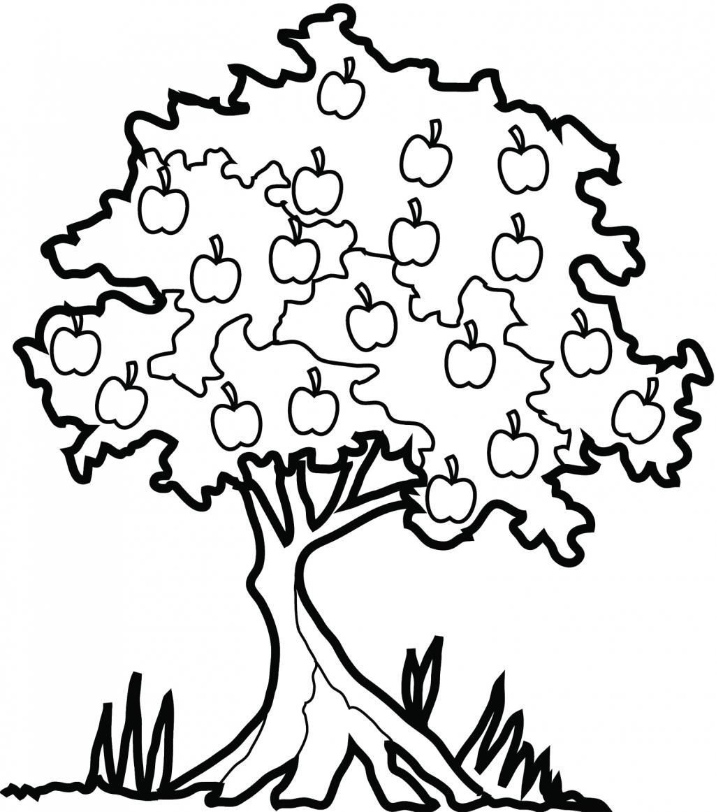 1025x1162 Apple Orchard Coloring Sheet Coloring Sheets