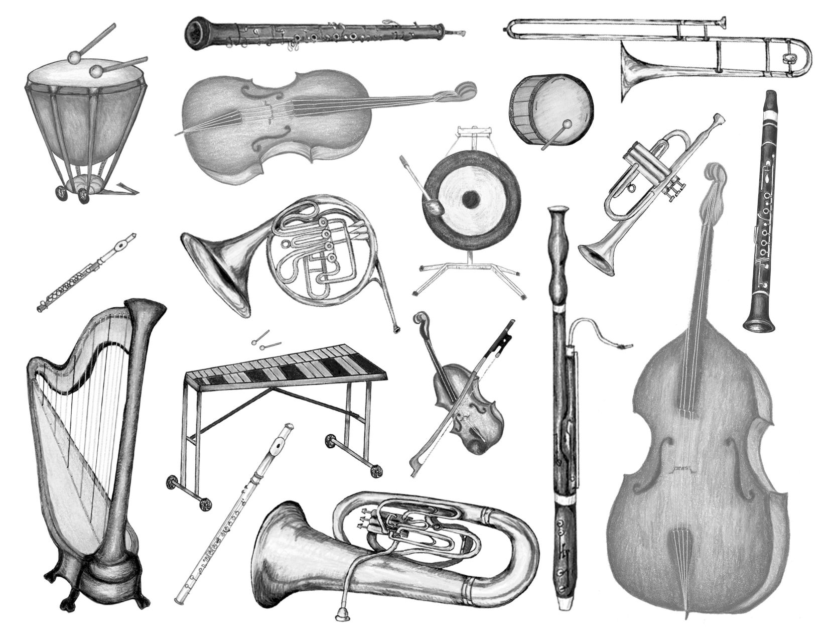 1650x1275 Spotlight Orchestra Coloring Pages Instruments Of The Free