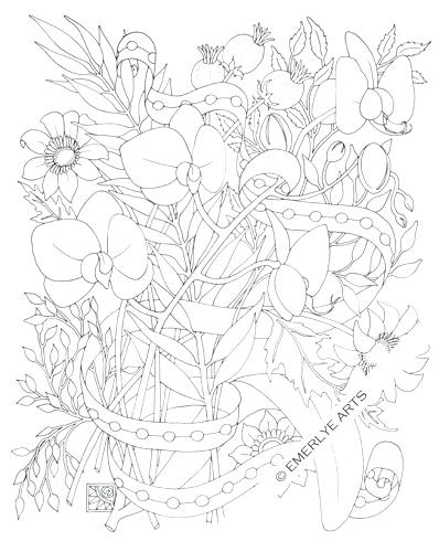 398x500 Orchid Coloring Pages Mockingbird And Beautiful Orchid Coloring