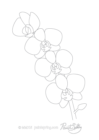 335x474 Printable Flower Adult Coloring Book {get Free Pages}