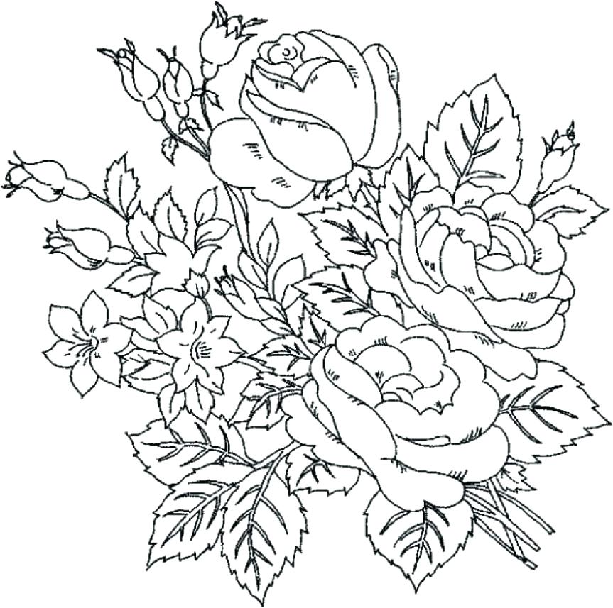 863x857 Printable Orchid Coloring Page Free Download At Orchid Orchid