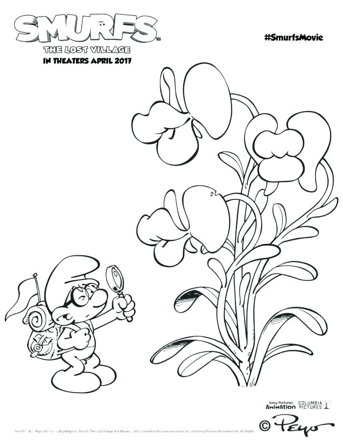 700x906 Orchid Coloring Pages