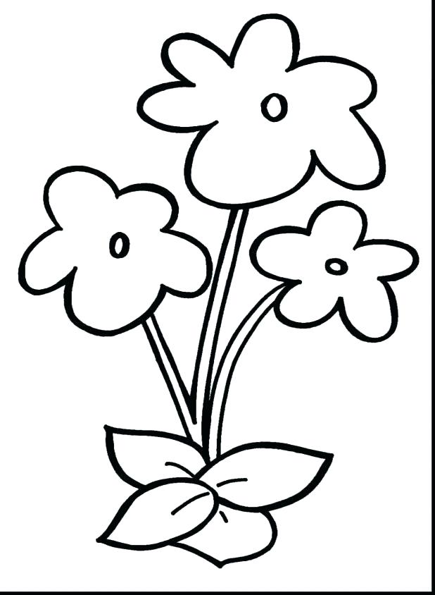618x844 Tropical Flower Coloring Pages Orchid Flower Coloring Glamorous