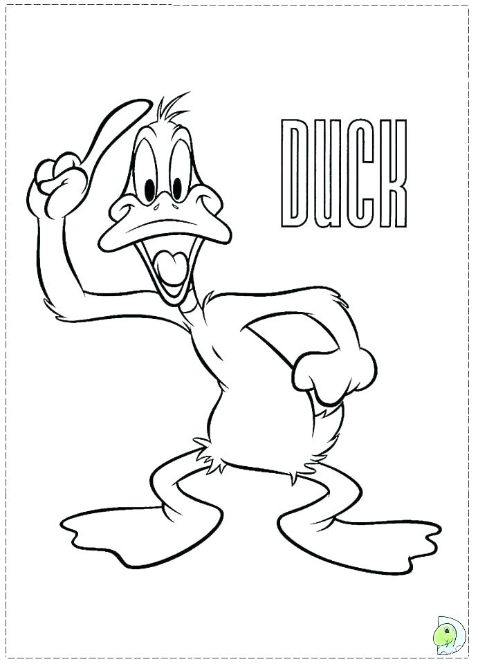 691x960 Ducks Coloring Pages Wood Duck Duckling Coloring Page Oregon Ducks