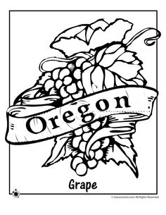 236x305 Oregon State Flower Clipart