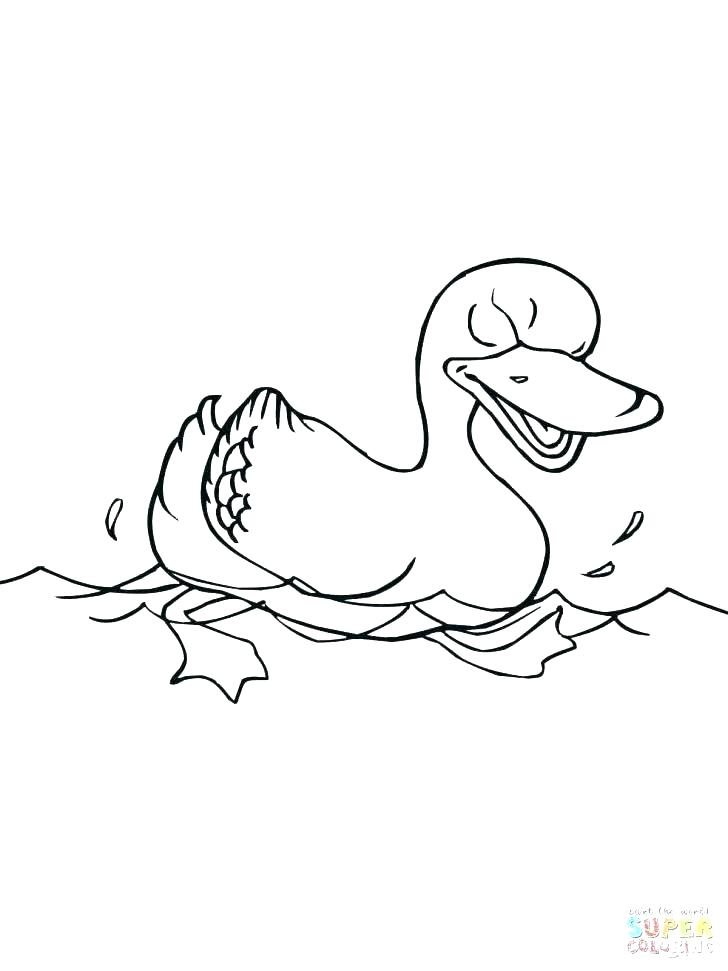 728x971 Ducks Coloring Page Ducks Coloring Pages Coloring Page Duck Cute