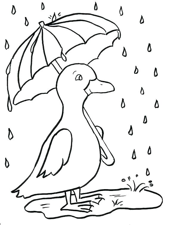 567x753 Ducks Coloring Pages Ducks Coloring Pages Coloring Blue Jay