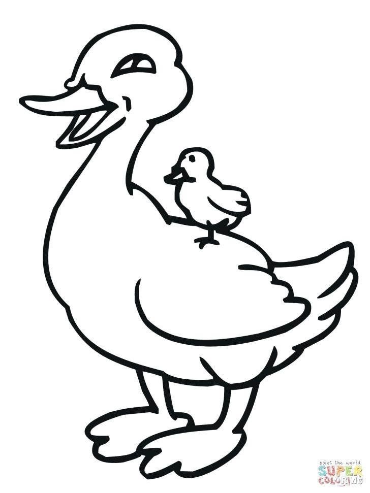 728x971 Oregon Ducks Coloring Pages Luxury Coloring Pages Of Ducks