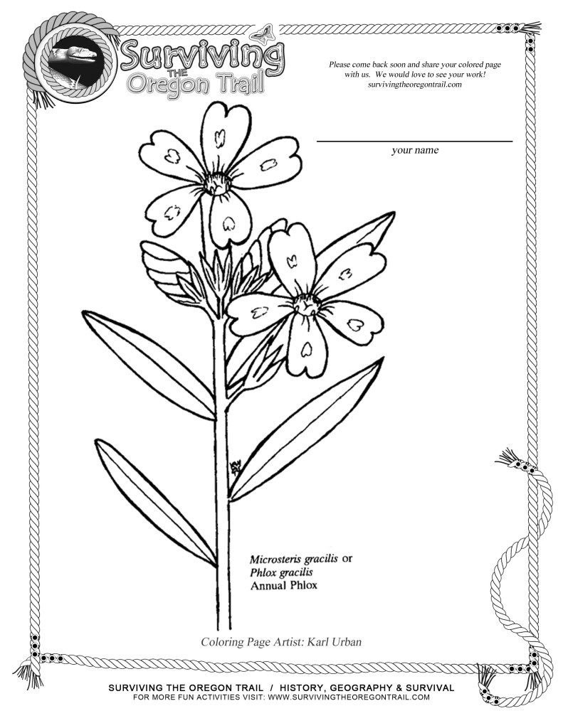 791x1024 Coloring Pages