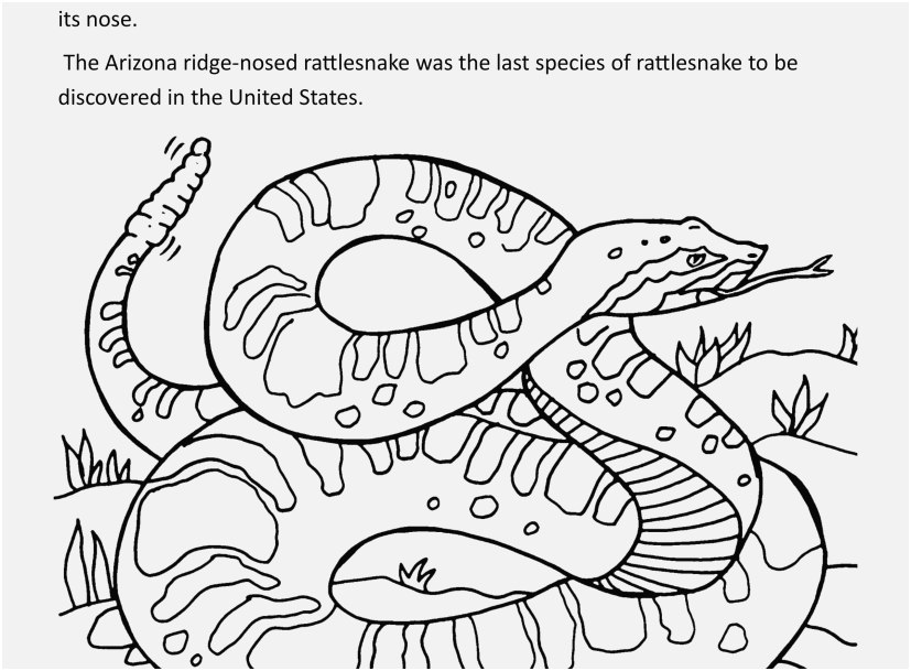 827x609 The Ideal Graphic State Coloring Pages Fantastic