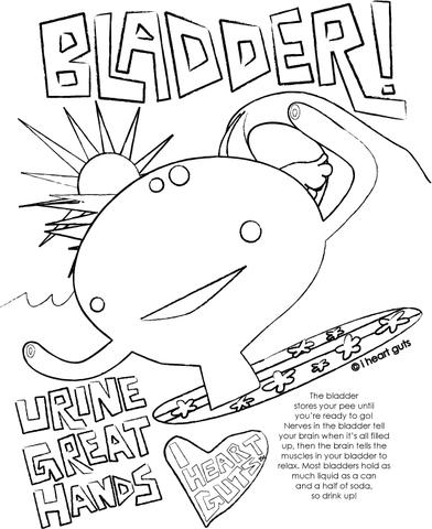 392x480 Bladder Coloring Page I Heart Guts