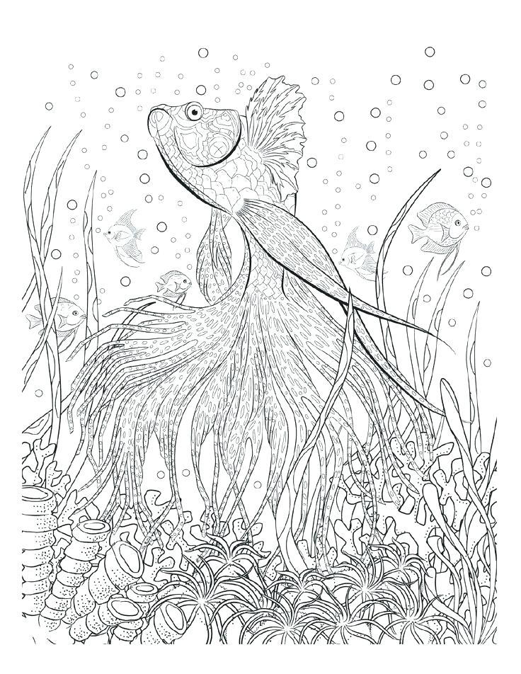 736x952 Christmas Themed Coloring Pages Oriental Trading Coloring Pages