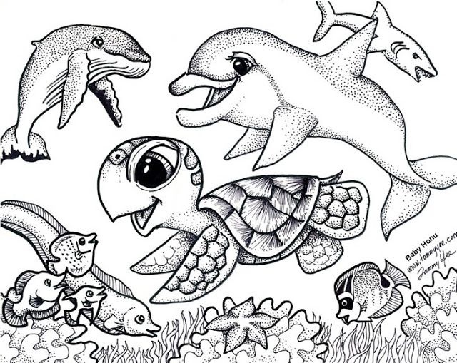 640x509 Origami N' Stuff Kids Coloring Baby Honu And Friends Ideas