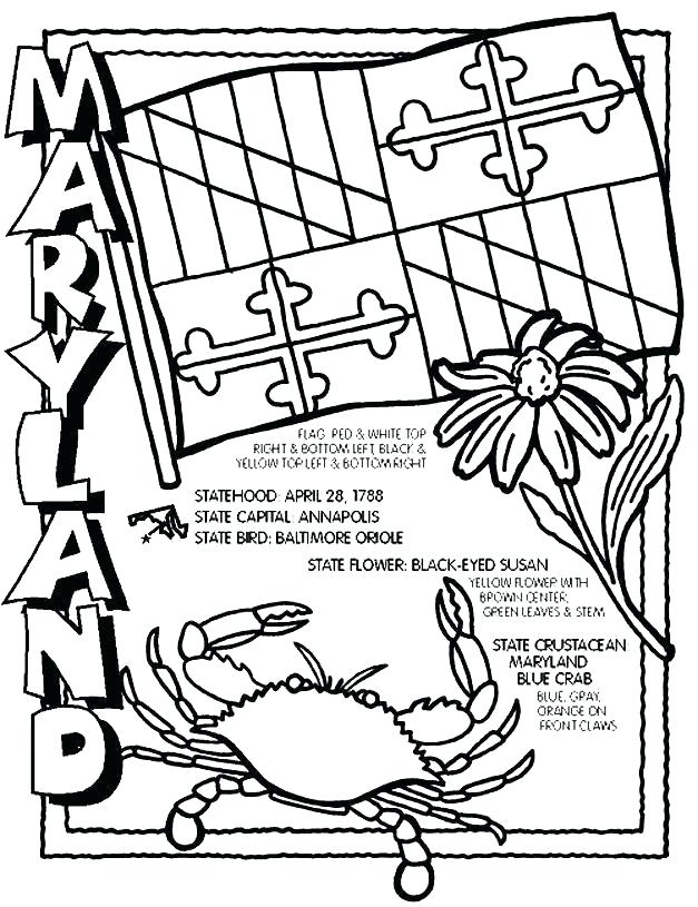 627x815 Coloring Pages For Adults Pdf Orioles Sheet Free Mycosedesongles