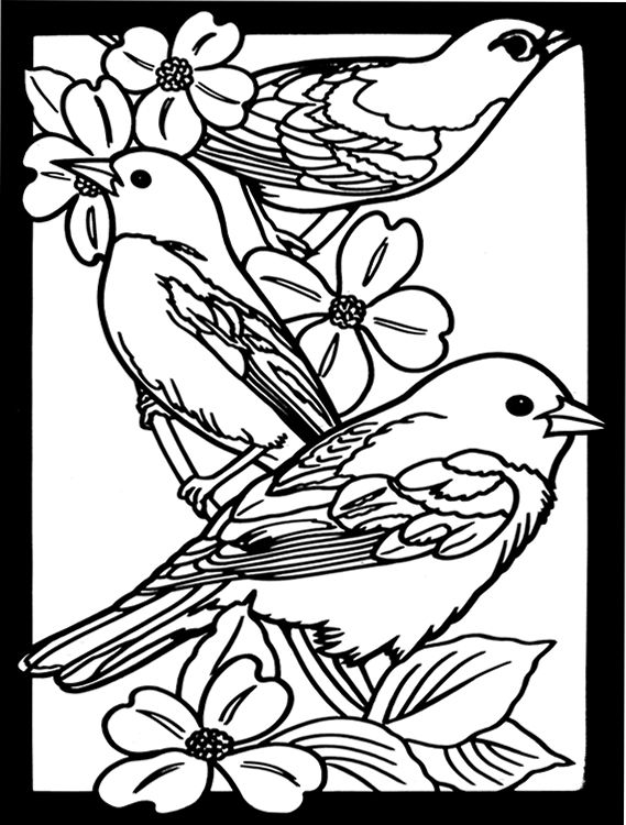 569x750 Favorite Birds Stained Glass Coloring Book Dover Publications