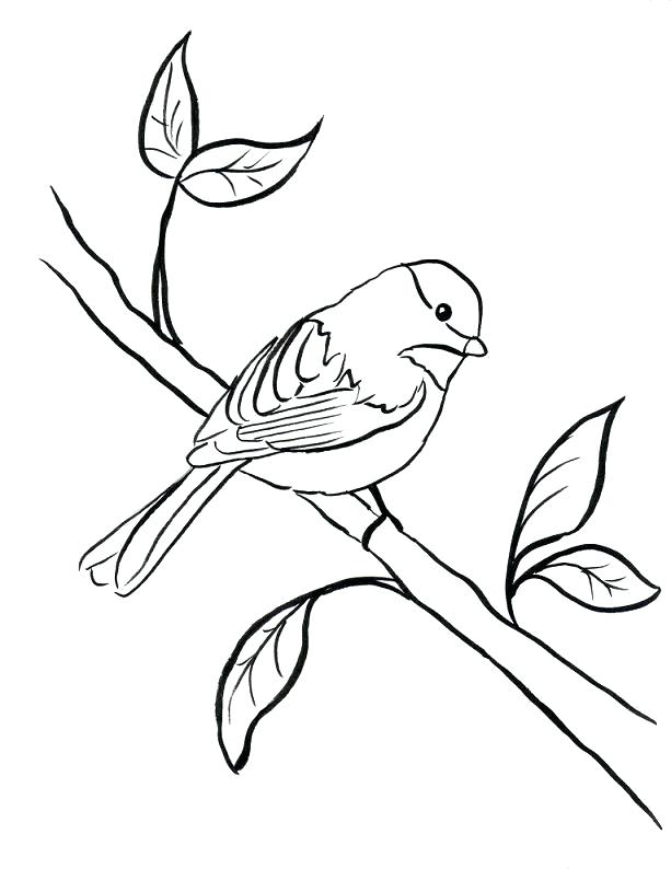 Orioles Coloring Pages at GetDrawings | Free download